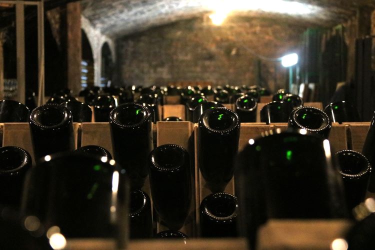 Cava bottles in a cellar 